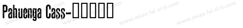 Pahuenga Cass字体转换